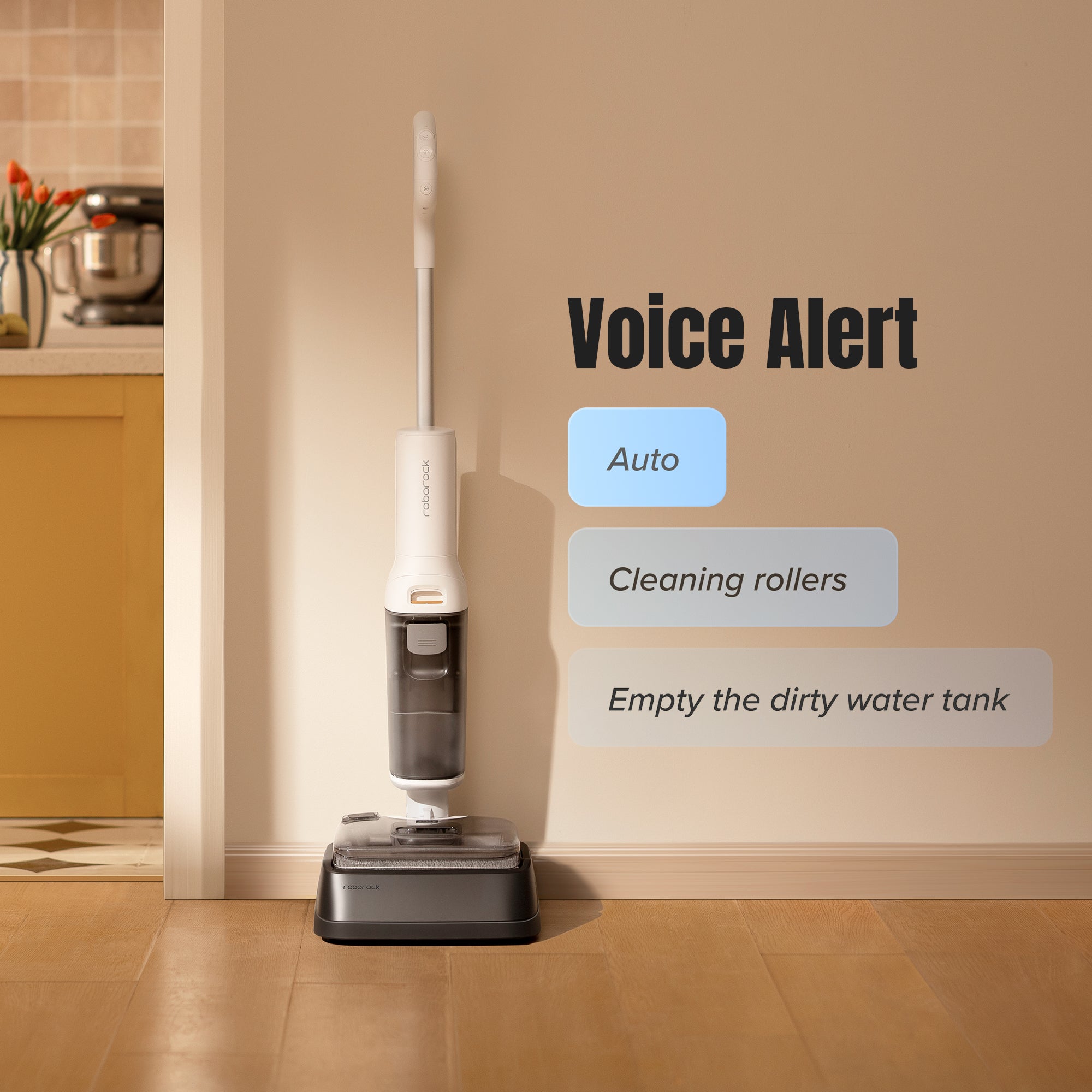 Roborock F25 RT Wet & Dry